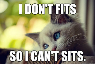 First World Cat Problems