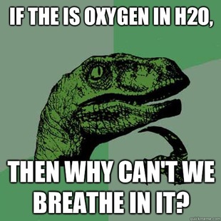 Philosoraptor