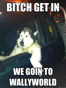 Mean Dog