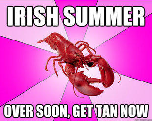 Long-term relationship Lobster