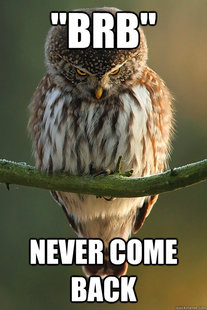 Fuck-Off Owl