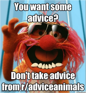 Advice Animal