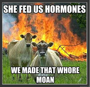 Evil cows