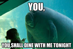 Overlord Manatee