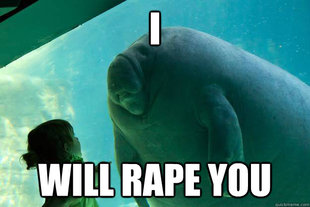 Overlord Manatee