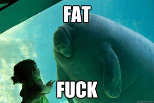 Overlord Manatee