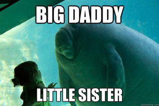 Overlord Manatee