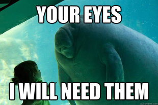 Overlord Manatee