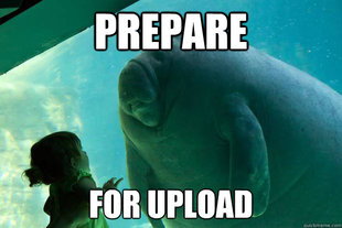 Overlord Manatee