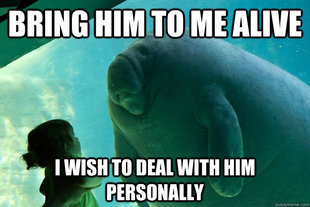 Overlord Manatee