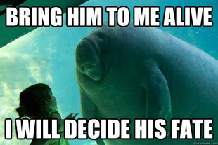 Overlord Manatee