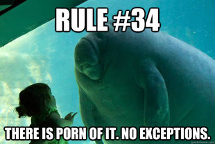 Overlord Manatee