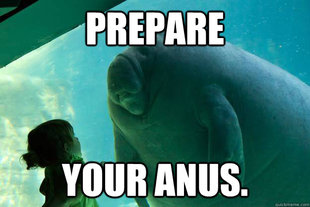 Overlord Manatee