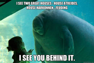 Overlord Manatee