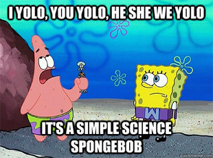 YOLO