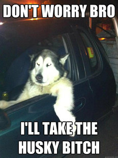 Mean Dog