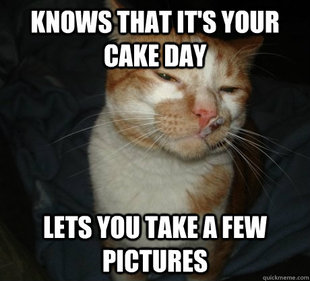 good cat greg