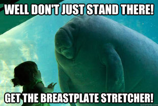 Overlord Manatee