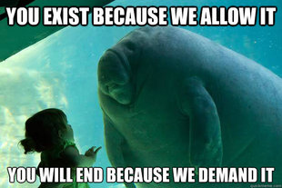 Overlord Manatee
