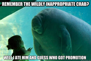 Overlord Manatee