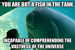 Overlord Manatee