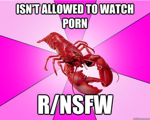 Long-term relationship Lobster