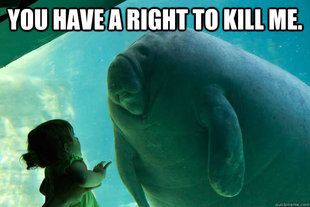 Overlord Manatee