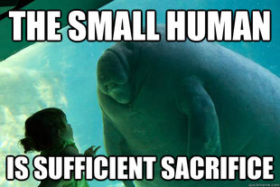 Overlord Manatee