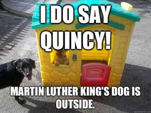 Upper Class White Dog