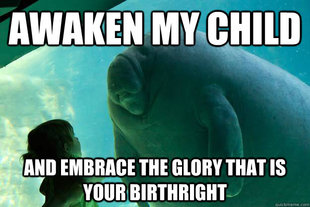 Overlord Manatee