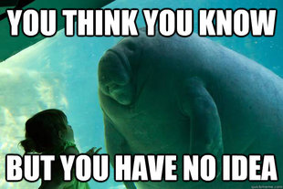 Overlord Manatee