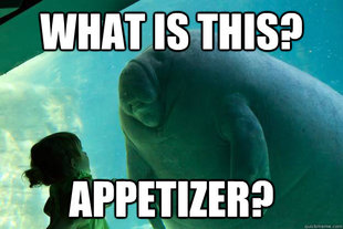 Overlord Manatee