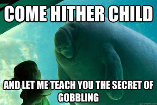 Overlord Manatee