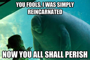 Overlord Manatee