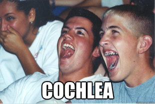 Immature High Schoolers