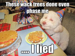 Stoned Birthday Dog