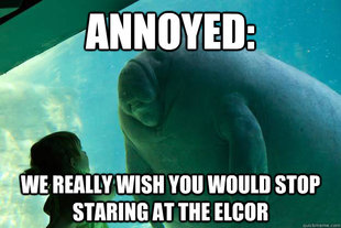 Overlord Manatee