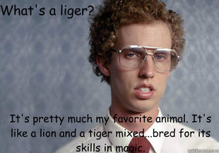 Napoleon Dynamite
