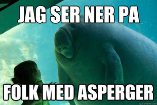 Overlord Manatee
