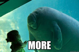 Overlord Manatee