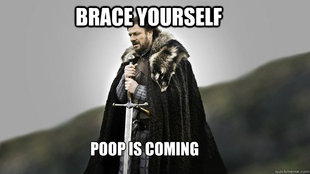 Ned stark winter is coming