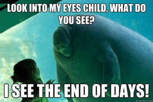Overlord Manatee