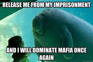 Overlord Manatee