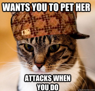 Scumbag Cat