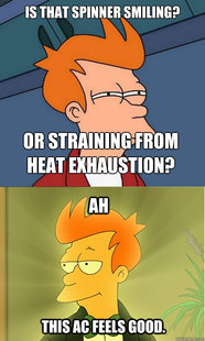 Enlightened Fry