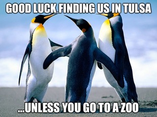 Awkward penguin group