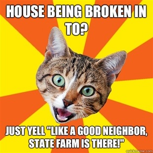 Bad Advice Cat