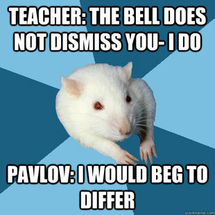 Psychology Major Rat
