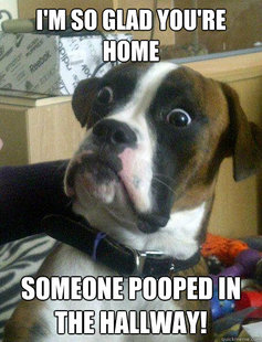 Baffled boxer
