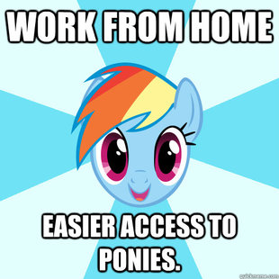 Simple Pleasures Dash